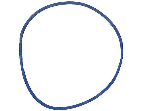 Jandy Pump Blue Pressure Test Oring | R0479000
