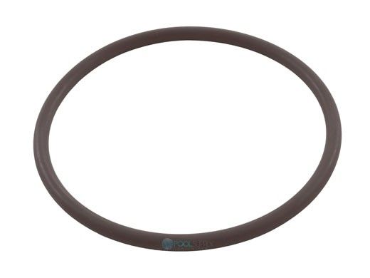 Zodiac Fusion Collar O-ring | R0586400
