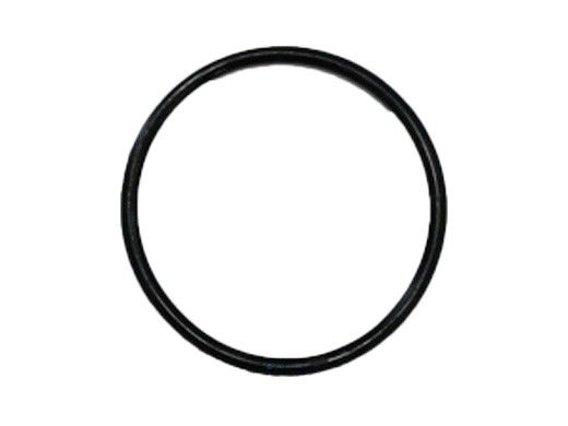 CompuPool CPX Series Union O-Ring | BS231