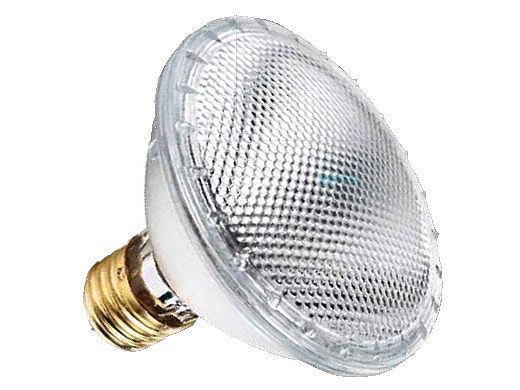 Halco 39W Halogen Bulb 120V | Replaces 100W Halogen Bulbs | 70343 HP20NFL39/HX PAR20