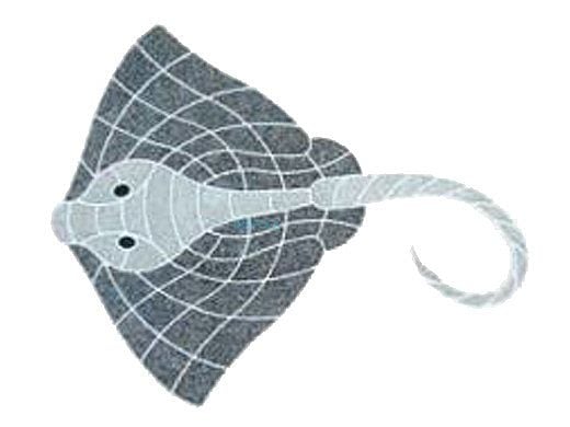 AquaStar Swim Designs Stingray Stencil Only | White | F1013-01