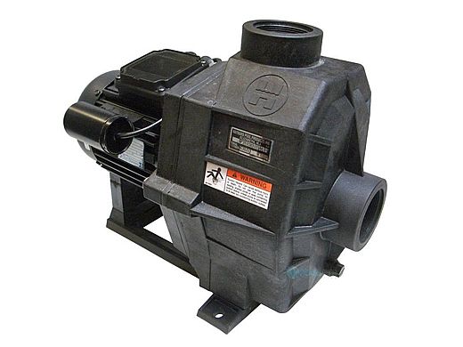 Hayward 1.5HP 220V 5A 1SP 1.5" 50Hz European Spa Pump | 6500-144