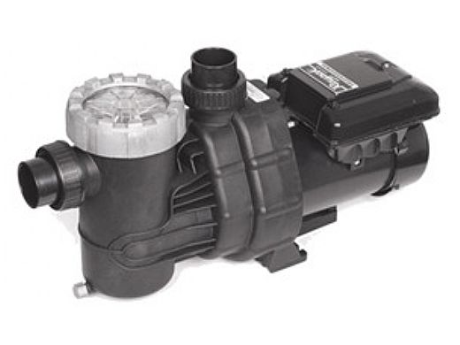 Raypak Variable Speed Pool Pump 1.65 THP | 208-230V | PS165VSP