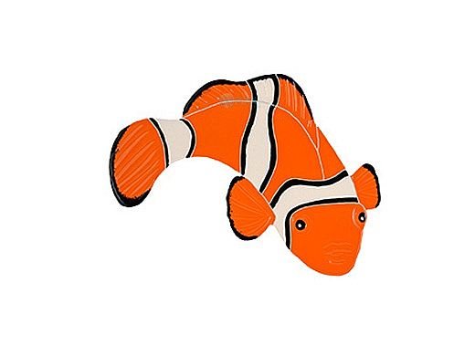 Artistry In Mosaics Clown Fish Mosaic | Right - 5" x 8" | CFRORARS