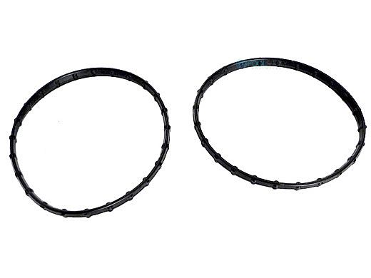 Pentair Clean & Clear Union Diamond Seal | 178746Z