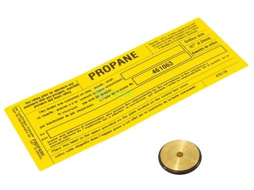 Pentair Natural Gas to Propane Conversion Kit for 125 MasterTemp Heater | 461063