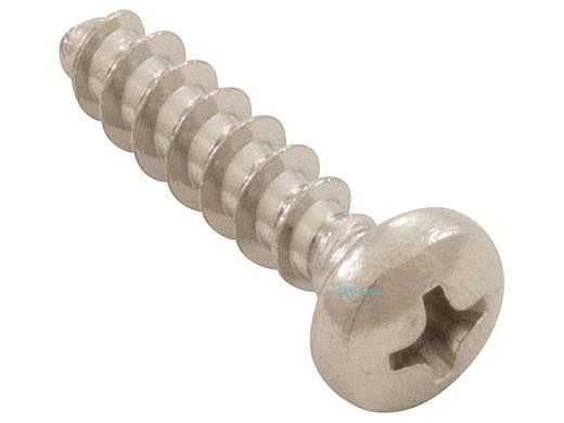 Pentair Prowler Small Screw | 360143
