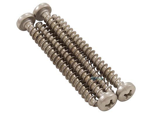 Pentair Prowler Large Screw | 360144