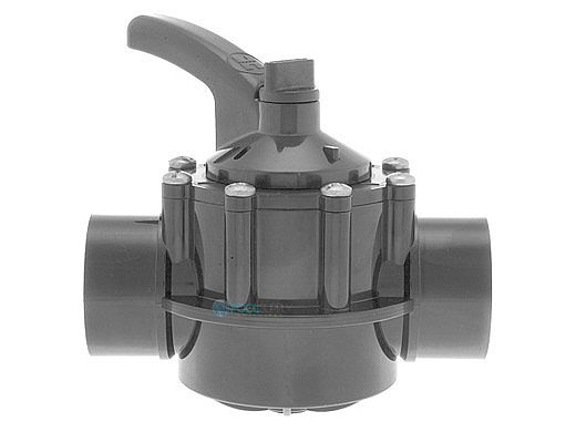 Hayward Straight CPVC Check Valve 1.5 x 2" | PSCV2S