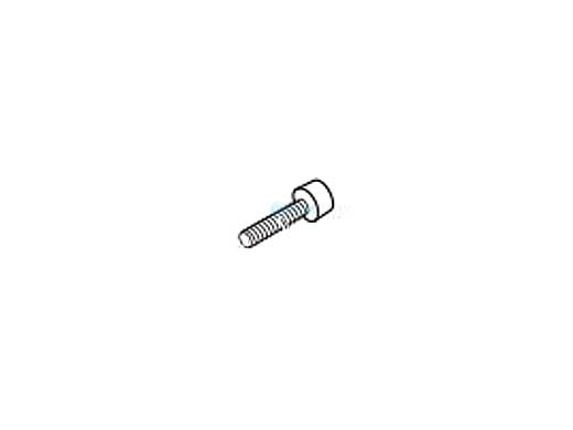 Raypak Screw - 0.375 - 16 X 2" Slotted | 4 required | 014343F