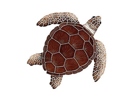 Artistry In Mosaics Loggerhead Turtle Brown Mosaic | Medium - 15"? x 15"? | TLOBROM
