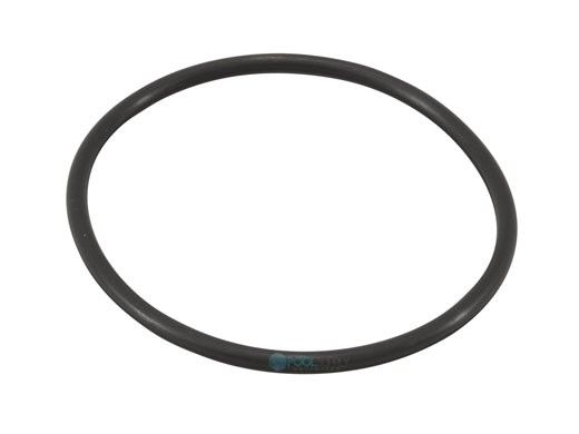 AutoPilot Pool Pilot Nano Tri-Sensor O-Ring | 19028