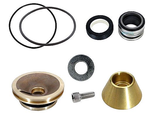Aladdin for Pentair C-Series Commercial Bronze Pool Pumps | GO-KIT11