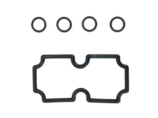 Pentair MasterTemp 125 Coil Tubesheet Sealing O-Ring | 474973