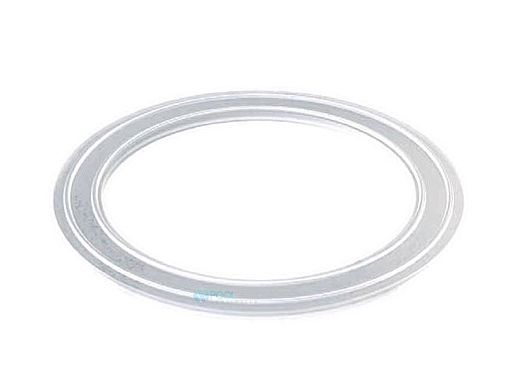 AquaStar 2" Gasket | 20GASKET