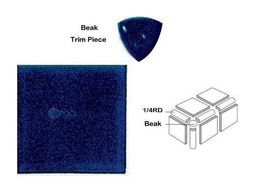 National Pool Tile Discovery Field 3x3 Beak | Blue | DSF20N Beak