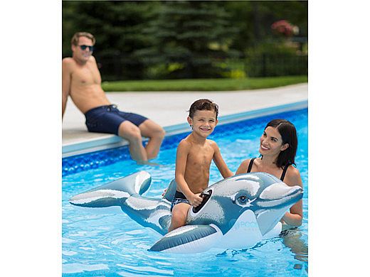 Ocean Blue Spinner The Dolphin Ride-On Inflatable | 950401