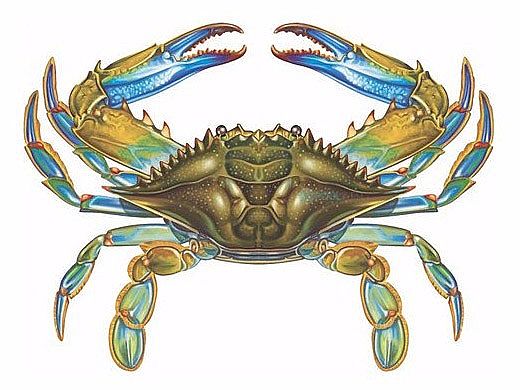 Porcelain Mosaic Blue Crab Pool Mosaic | 11" x 8" | PORC-BC57