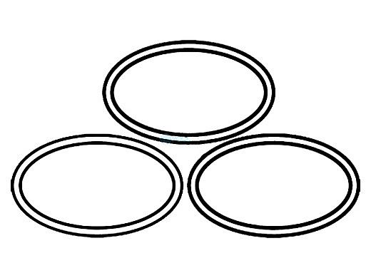Paramount Quartz Tube Seal O-Ring, 3 Pack | 005-422-5103-00