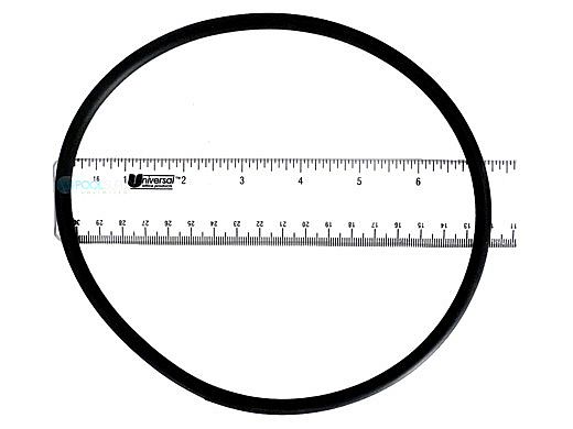 Pentair O-Ring Filter To Niche | R170070