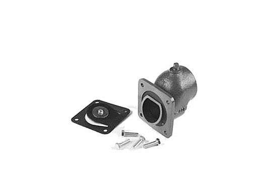 Pentair 2" Suction Flange with Flapper Check | PKG 53