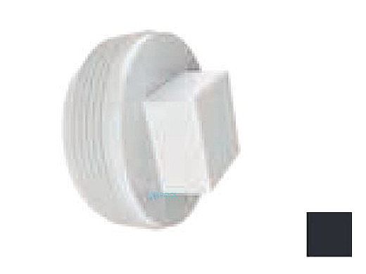 AquaStar 2" Tapered Pipe Thread Plug | Black | 8SBP102