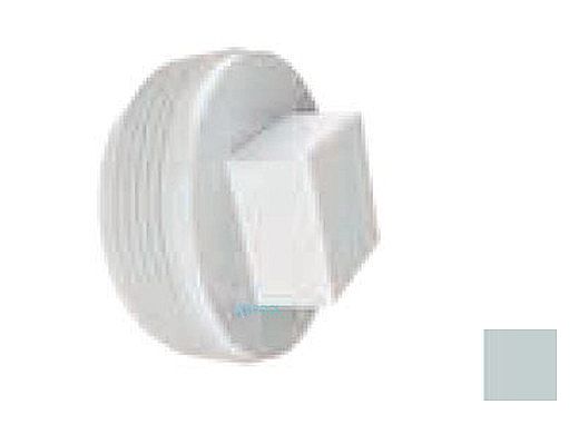 AquaStar 2" Tapered Pipe Thread Plug | Light Gray | 8SBP103