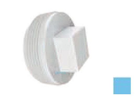 AquaStar 2" Tapered Pipe Thread Plug | Blue | 8SBP104