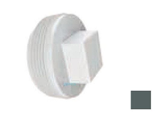 AquaStar 2" Tapered Pipe Thread Plug | Dark Gray | 8SBP105
