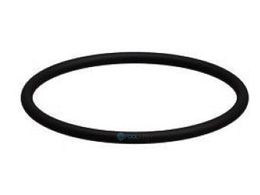 AquaStar Chlorinator - O-Ring #343 Viton | CH1009 | O-RING 343 | O-RING 343V