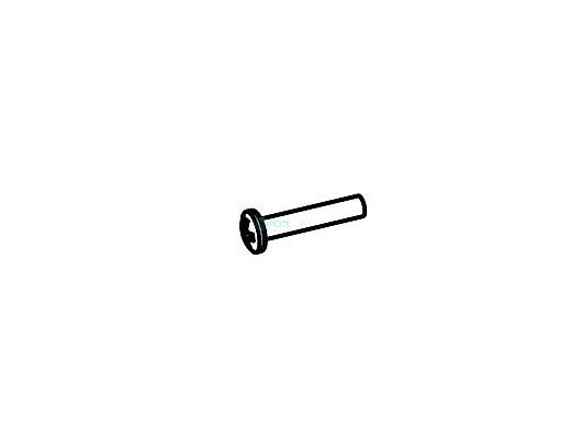 Coverstar Screw PPMS 10-32 x 1" | H0153