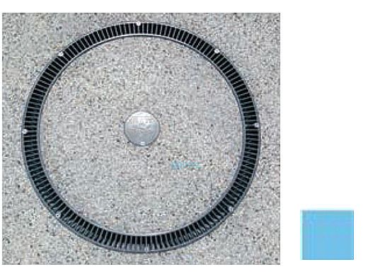 AquaStar 20" Full Circle Suction Outlet with Hydrostatic Valve and Collector Tube | Blue | FCHV104