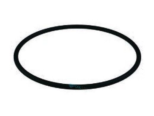 AquaStar ProStar O-Ring for Leaf Catcher | HWN282
