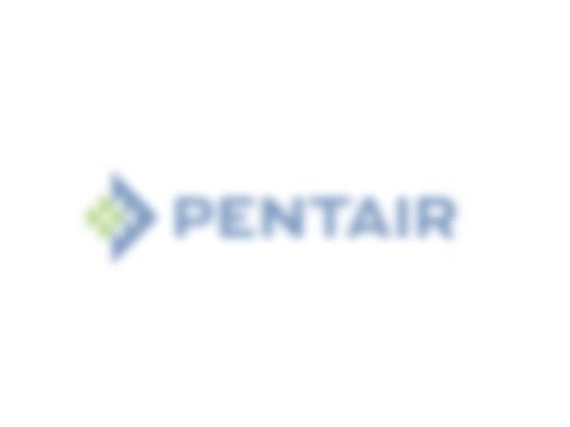 Pentair Washer Flat 1/4" ID x 5/" OD | 2 Required | 072186