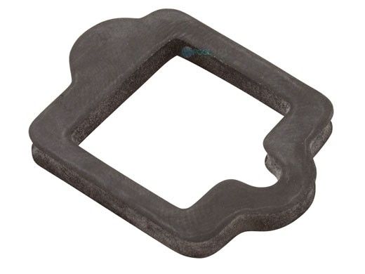 Pentair IntelliFlo Drive Gasket | 350108