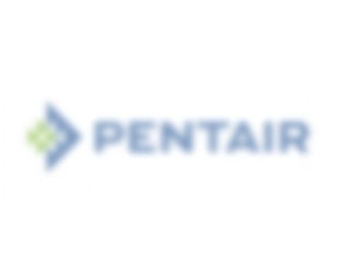 Pentair Cord Assembly | 3 ft Cord | 20 A | 155137