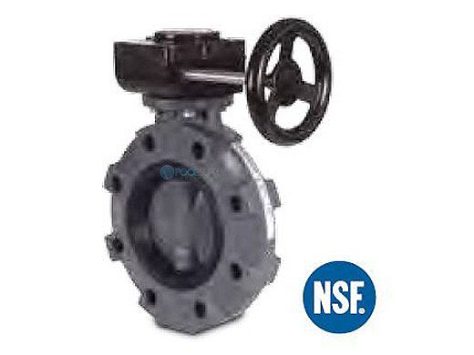 Hayward BYV Series 8" Butterfly Valve Gear Operated | BYV11080A0EG000