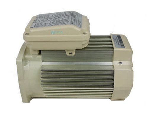 Pentair Replacement Single Speed TEFC Super-Duty Motor | 56 Frame | 208/230V 2HP | Almond | 354815S