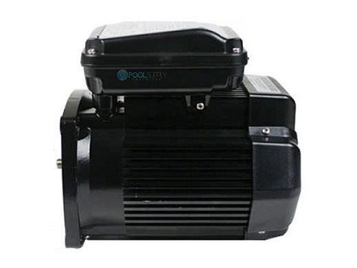 Pentair Replacement Single Speed TEFC Super-Duty Motor | 2HP | 56 Frame | 208-230V | Black | 354816S
