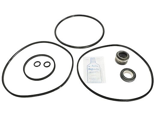 Aladdin Go Kit for Jacuzzi R/RC Series Pump | Seals & Gaskets GO-KIT15 | APCK1008