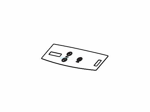 Raypak Switch/Decal-Membrane 259A/409A | 014121F