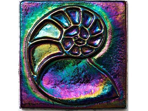National Pool Tile OceanScape 4x4 Nautilus Deco | Rainbow Nautilus | OCN-RNNAUTILUS
