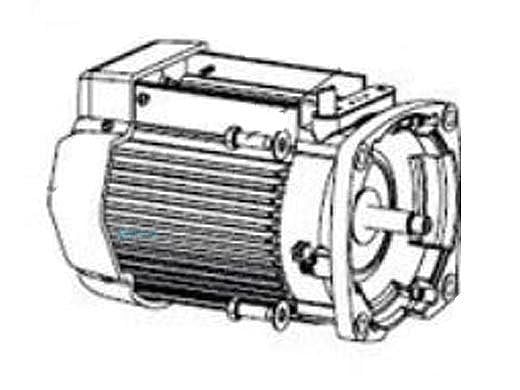 Pentair Motor Package without Drive TEFC | Black | 353135S