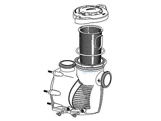 Penteir Wet End Assembly | 401000