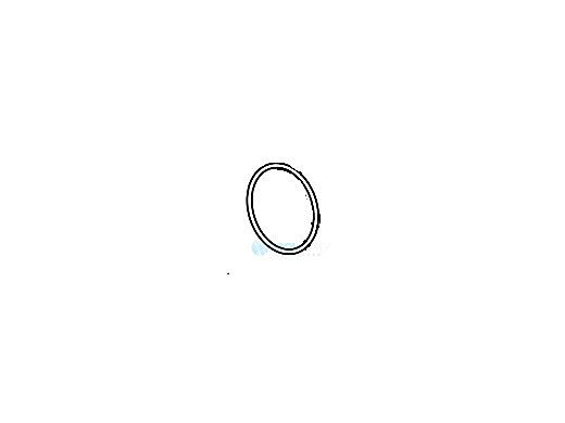 Hayward Strainer Housing Flange O-ring | HCXP343V70