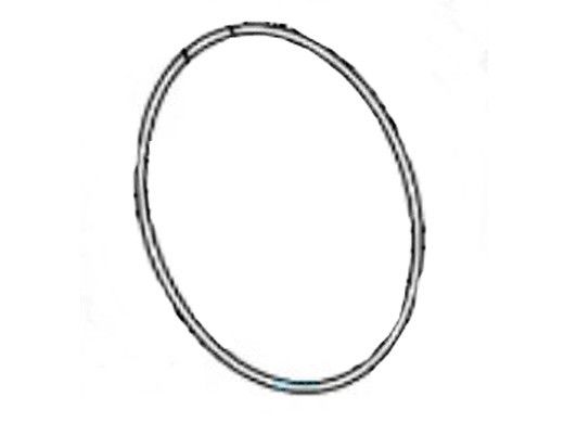 Hayward Pump Housing O-Ring | HCXP369V70