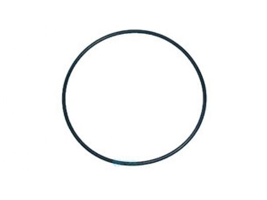 Sandman Filter Valve/Tank O-Ring | NEP2132