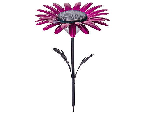 Desert Steel Daisy Solar Garden Light | Pink | 409-302