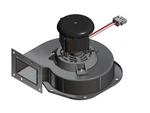 Hayward H-Series H500FD Combustion Blower | FDXLBWR1500