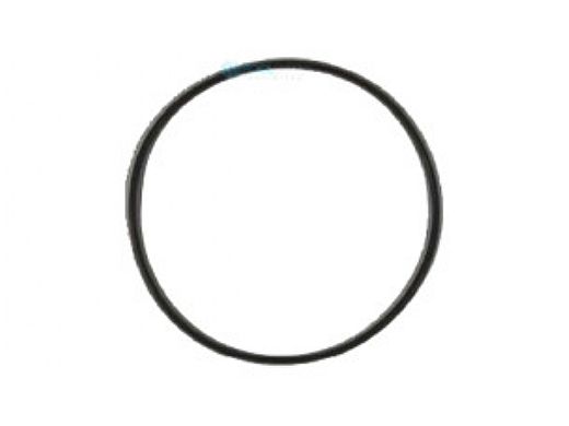 Neptune-Benson CCFG Filter Lid O-Ring Gasket | 1350SA42/3 | 1000-5914